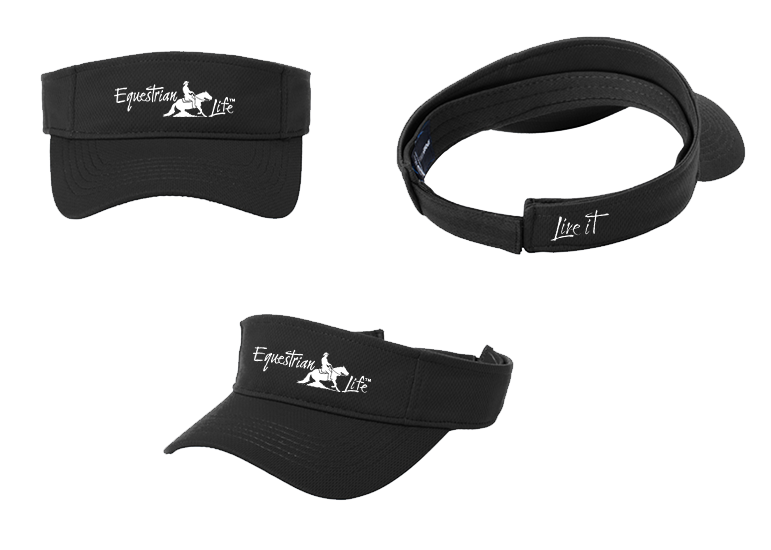 Reining Visor
