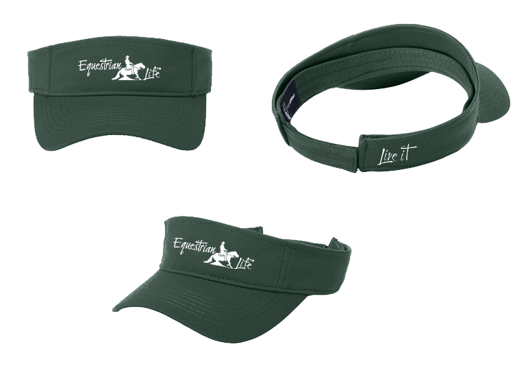 Reining Visor