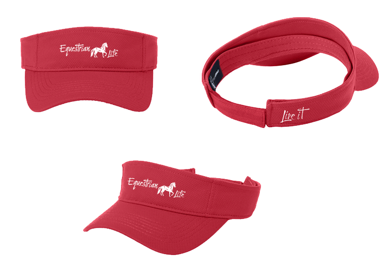 Paso Fino Visor